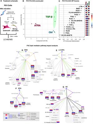 Arachidonate 15-lipoxygenase-mediated production of Resolvin D5n-3 DPA abrogates pancreatic stellate cell-induced cancer cell invasion